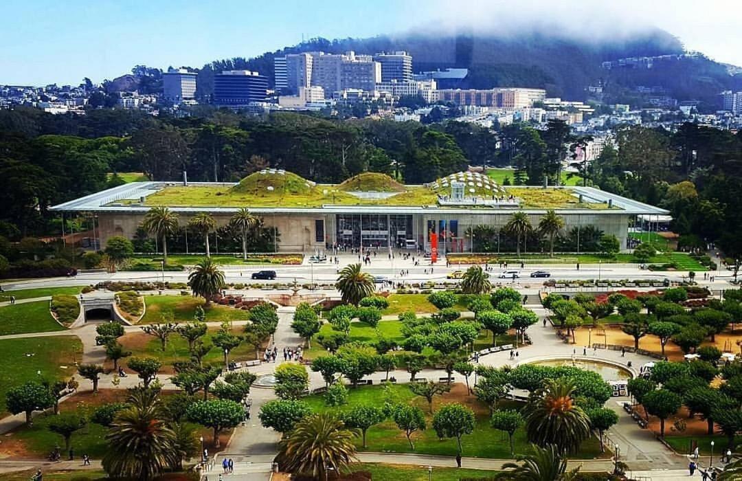 Golden Gate Park Luxury 4Br - 2Ba In San Francisco Villa Exterior foto